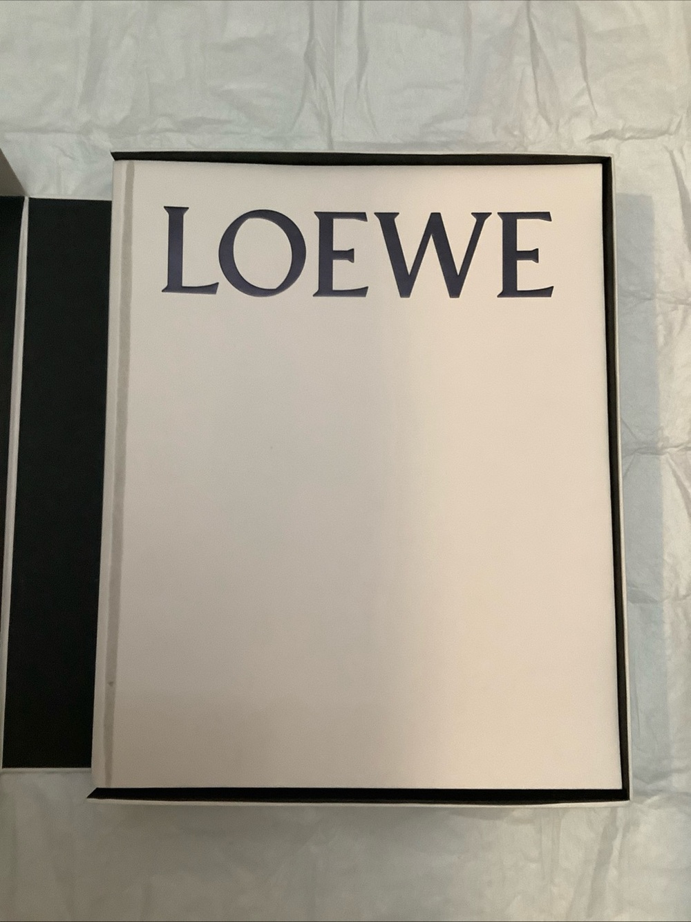 LOEWE Past, Present, Future 1846-2017 Fashion History Book Rare Luxury Edition